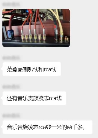 老哥群里晒出的发烧级音响走线